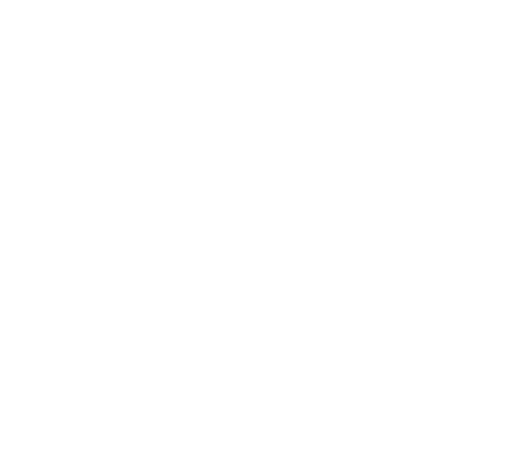 logo blanc